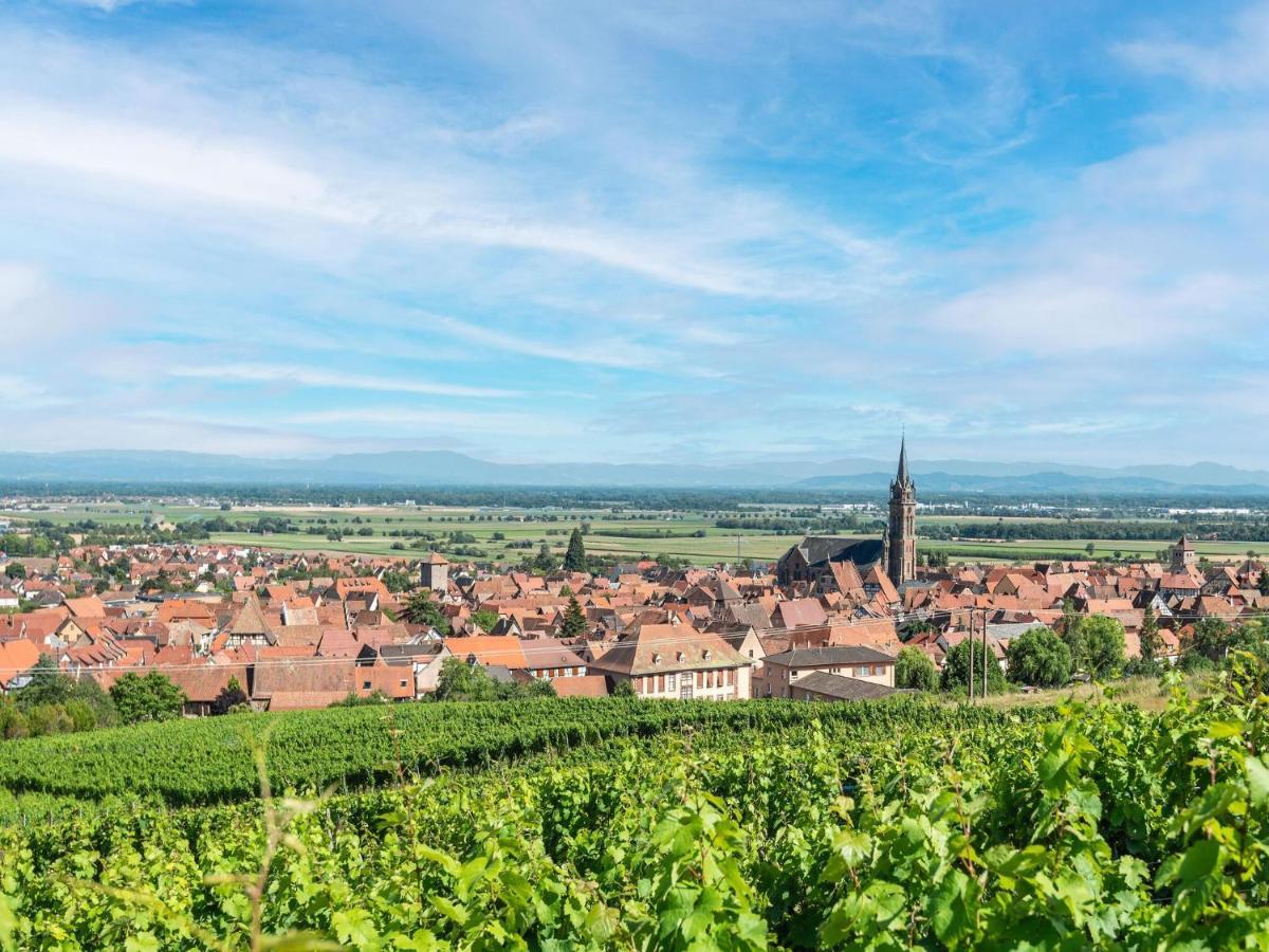 Charming Gite In Dambach La Ville With Terrace 外观 照片